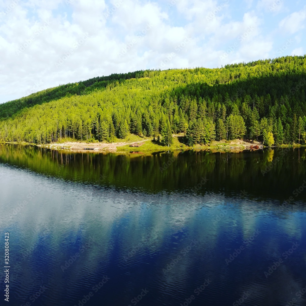 Fototapeta premium lake in forest
