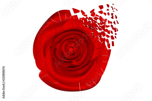 Fototapeta Naklejka Na Ścianę i Meble -  Broken red rose on white background, 3D rendering