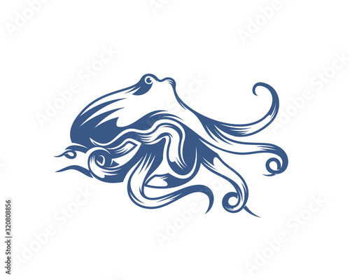 Octopus logo vector template. Isolated octopus design on white background. Illustration
