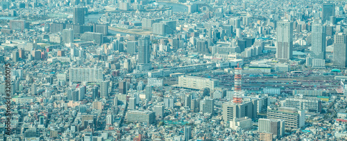 Canvas Print dust during daytime in a very polluted city - in this case Tokyo, Japan