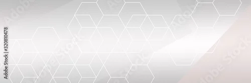 Obraz  z motywem Abstract technology background with hexagons