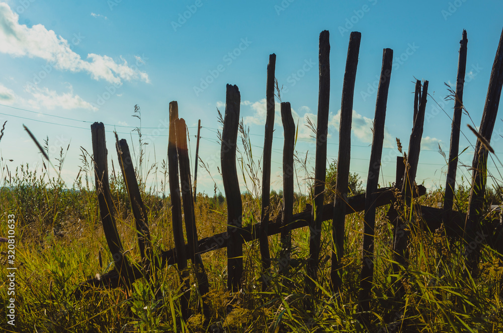 fence in the field