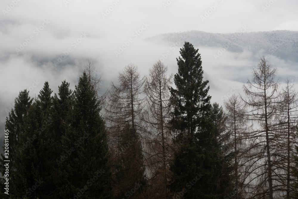 winter in Folgaria Trentino Alto Adige