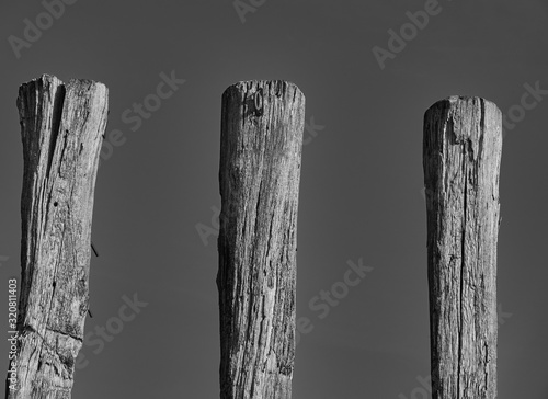 Fototapeta Naklejka Na Ścianę i Meble -  piers in the hard glow of the midday sun, black and white, weathered wooden piers with structure and texture