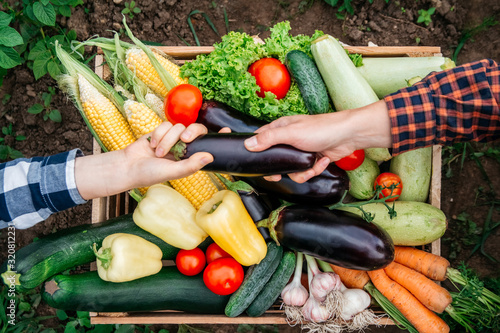 Man's hands and women holding eggplant in the background wooden crate full of vegetables from organic garden. Harvesting homegrown produce. Top view. Copy, empty space for text