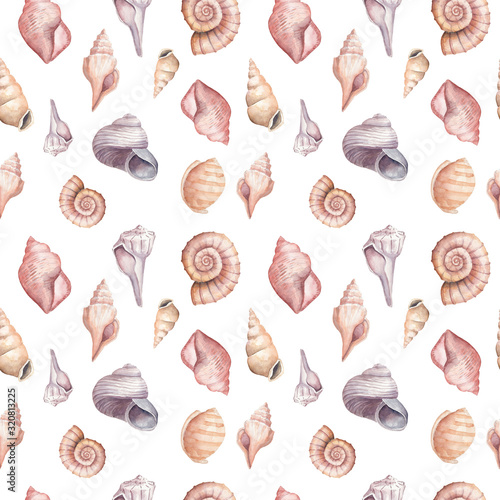 Seamless pattern with sea shells in watercolor