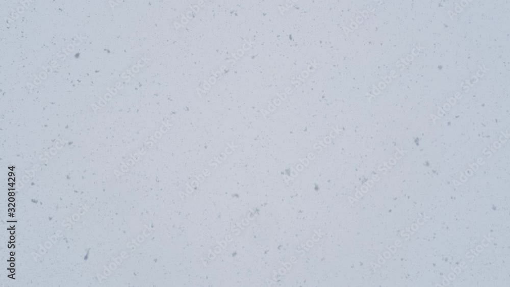 chaotic movement of large flakes of snow or ashes. snow falling from above against a gray sky chaotic movement of large flakes of snow or ashes. snow falling from above against a gray sky