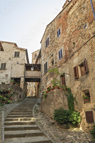 Fototapeta Naklejka Na Ścianę i Meble -  anghiari passaggio tipico con scala in pietra nel borgo antico vista ravvicinata