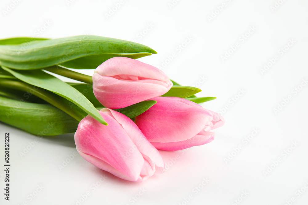 Beautiful pink spring tulips on white background Beautiful pink spring tulips on white background