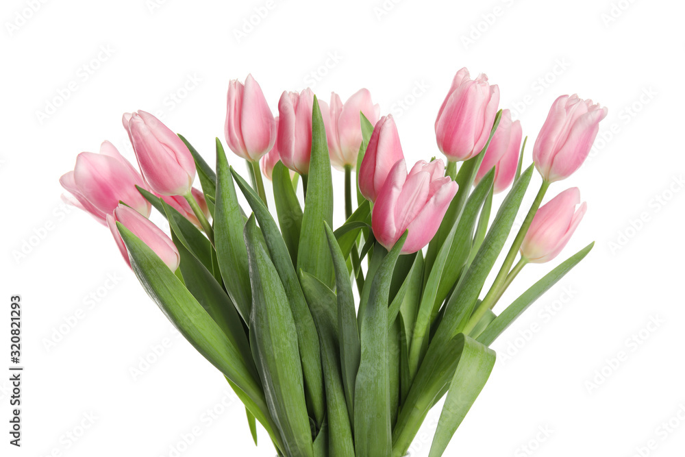 Beautiful pink spring tulips on white background Beautiful pink spring tulips on white background