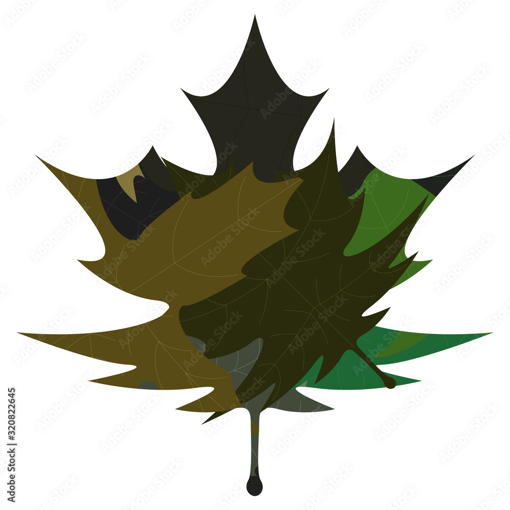 Fototapeta premium Isolated dry leaf