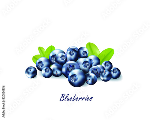 Berries realistic 3d vector icon isolated on white background. For juice, pudding, smoothie, sauces ads.Vector  illustration.