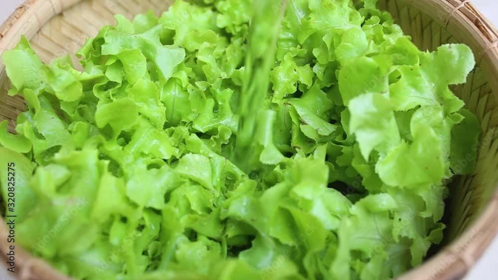 Close up of salads leaf, Washing lettuce prepare for salads. Healthy food. Close up of salads leaf, Washing lettuce prepare for salads. Healthy food.
