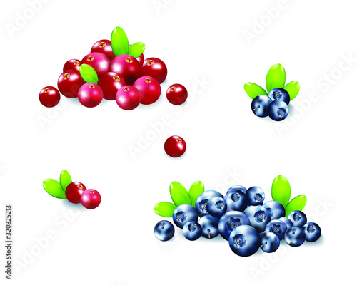 Berries realistic 3d vector icon isolated on white background. For juice, pudding, smoothie, sauces ads.Vector  illustration.