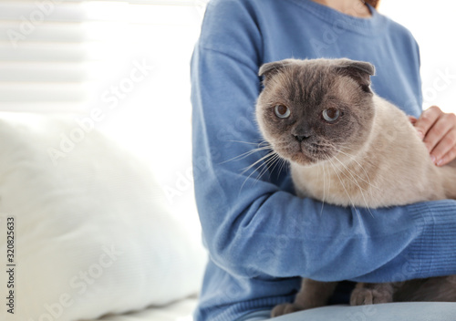 Fototapeta Naklejka Na Ścianę i Meble -  Young woman with cute cat at home, closeup. Fluffy pet