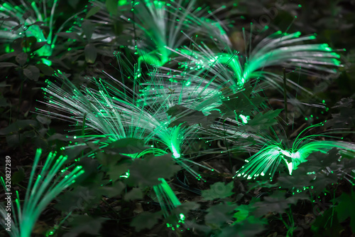 Fiber optic lamps at night photo