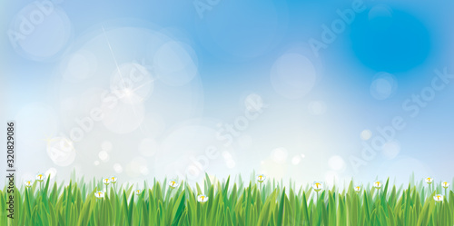 Vector spring nature background, blue sky and green grass border.
