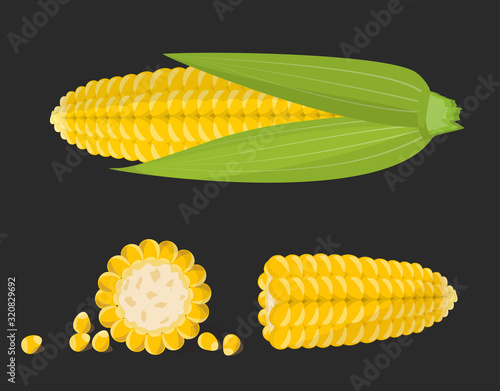 Set of sweet golden corn cobs and grains isolated on the black background