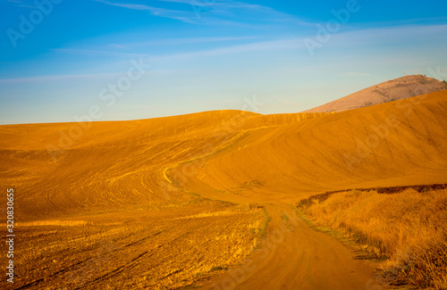 Dirt road in the Palouse