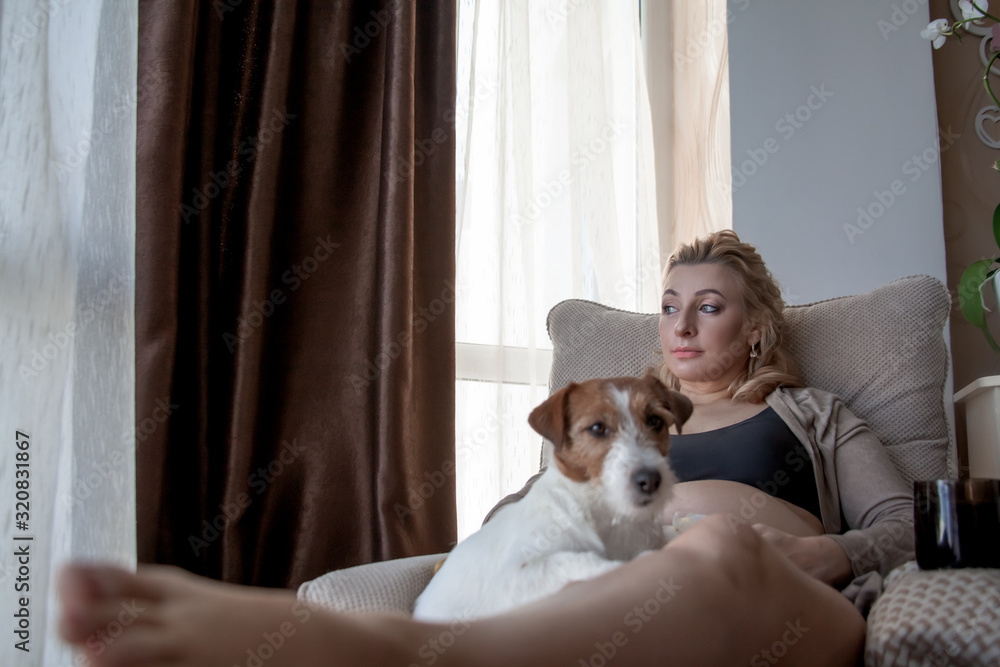 Dog ln the forenground relax on the legs of owner. Pregnant woman siting on cozy armchair with cup of tea at home infront of the window. Awaiting future baby woman resting at the room