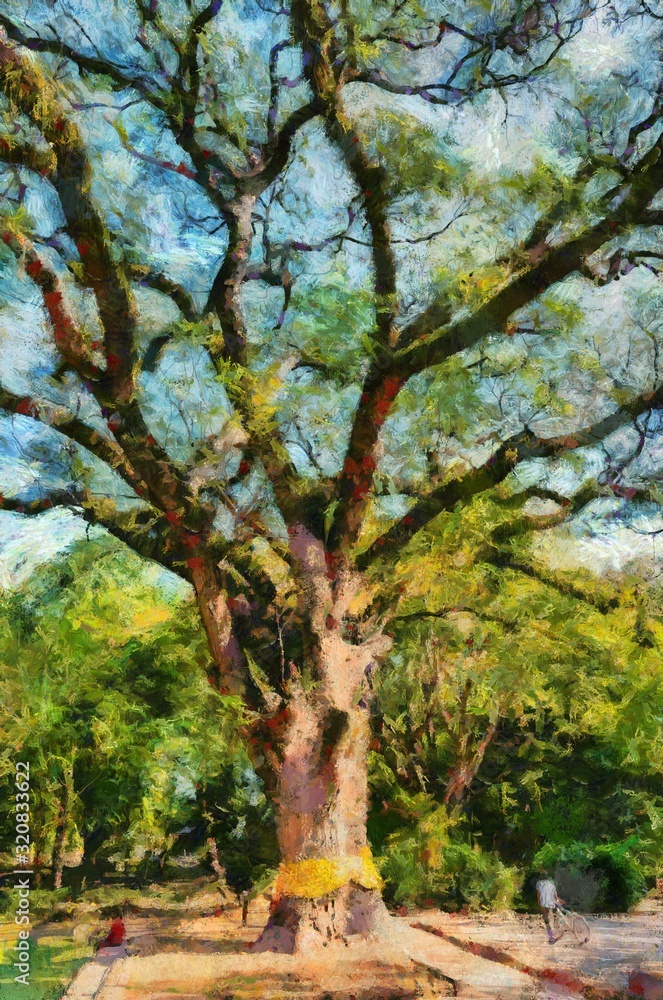 Fototapeta premium Large tree With branches spreading out wide With a beautiful branch shape Illustrations creates an impressionist style of painting.