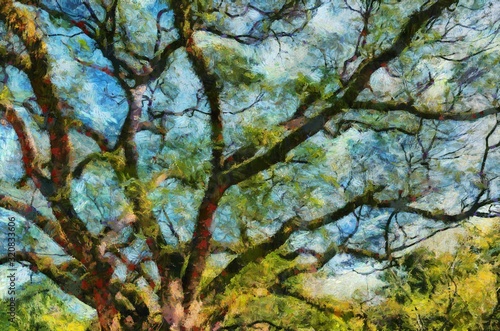 Large tree With branches spreading out wide With a beautiful branch shape Illustrations creates an impressionist style of painting.