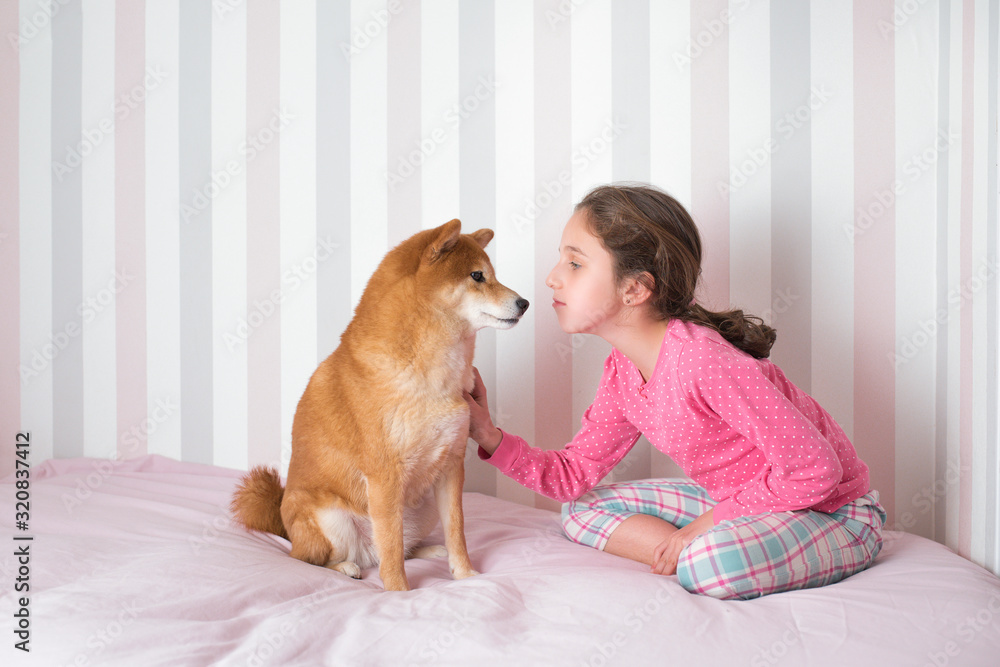 Beautiful little girl plays with pedigree dog, touch favourite animal, dressed in casual pyjamas, sits on bed, poses in her pink bedroom. Happy childhood concept