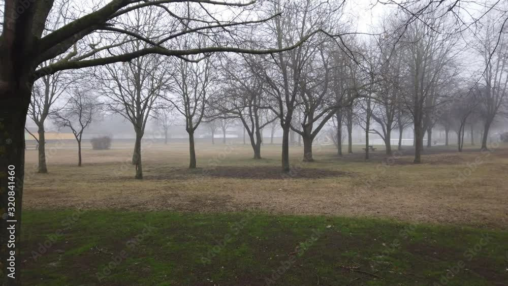 Empty park on a cloudy foggy winters da, on a frozen morning. All the trees are without leaves and the grass is getting from gren to brown.