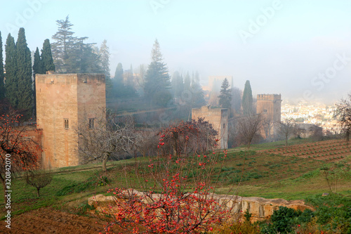 Persimmon tree, garden and Alhambra wall and towers in the winter morning fog, Granada, Spain