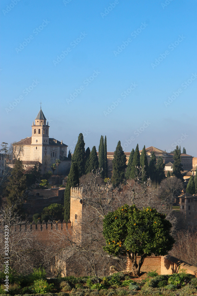 Mandarin tree and and Alhambra citadel wall and towers in the winter morning, Granada, Spain