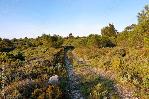 hiking trail in La Clape hills. Occitanie region