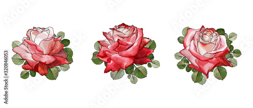 Set of three beautiful red flowers rose with green leaves. Isolated on white.Hand drawn.Watercolor style.For the design greeting cards,wedding invitation,valentines day.Vector stock illustration.
