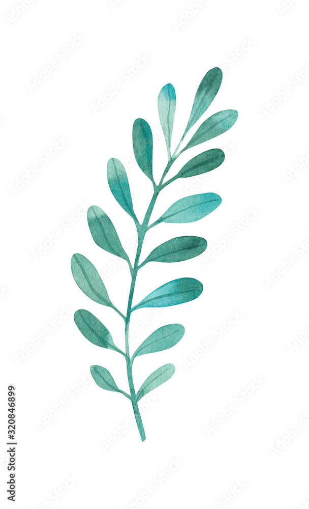 watercolor twig with foliage watercolor twig with foliage