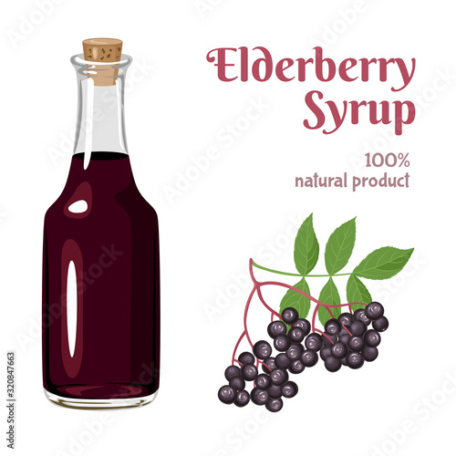 Black Elderberry syrup in glass bottle isolated on white background. Branch with sambucus berries and green leaves. Vector illustration in cartoon flat style.