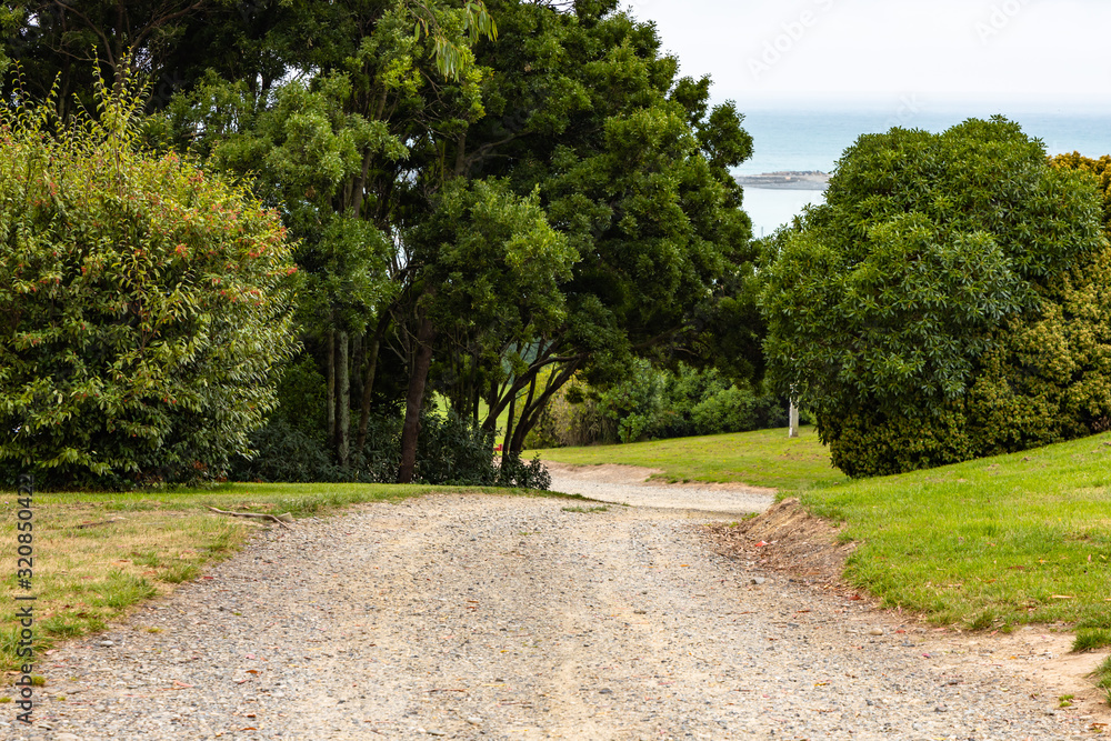 Obraz premium country road and sky in Newzealand