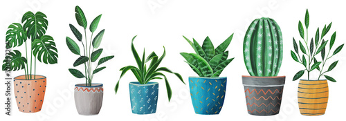  house flowers in pots, hand-made gouache painting, emitation of oil painting, monstera, cactus, tropical plant
