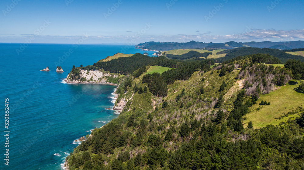 Steep cliffs with trees and ocean aerial view