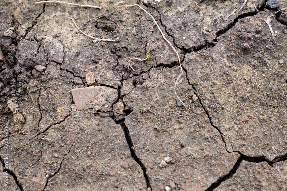 Obraz premium Dryness. Selective focus on dry ground cracked because of pollution and global warming.