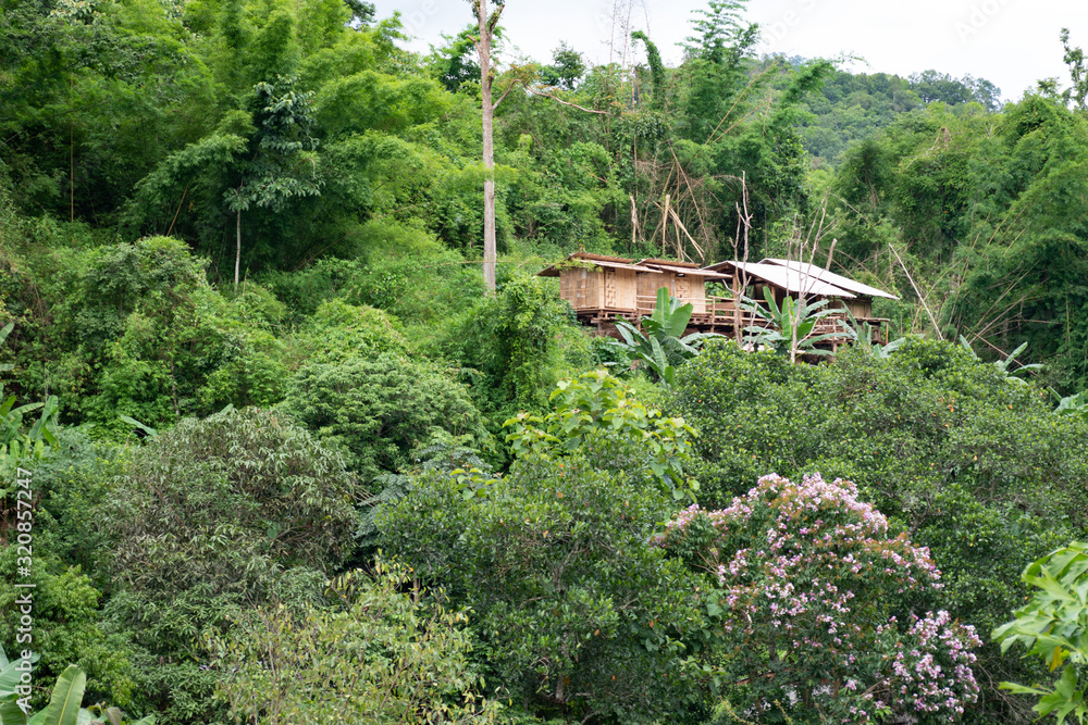 Forêt tropicale et Chemin de terre dans un village maison en bois de la jungle de Chiang Mai, Lahu, Thaïlande Forêt tropicale et Chemin de terre dans un village maison en bois de la jungle de Chiang Mai, Lahu, Thaïlande