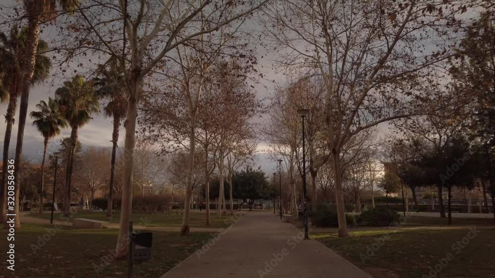 Walking through park with bare winter trees and stormy sky, Slowmo Walking through park with bare winter trees and stormy sky, Slowmo
