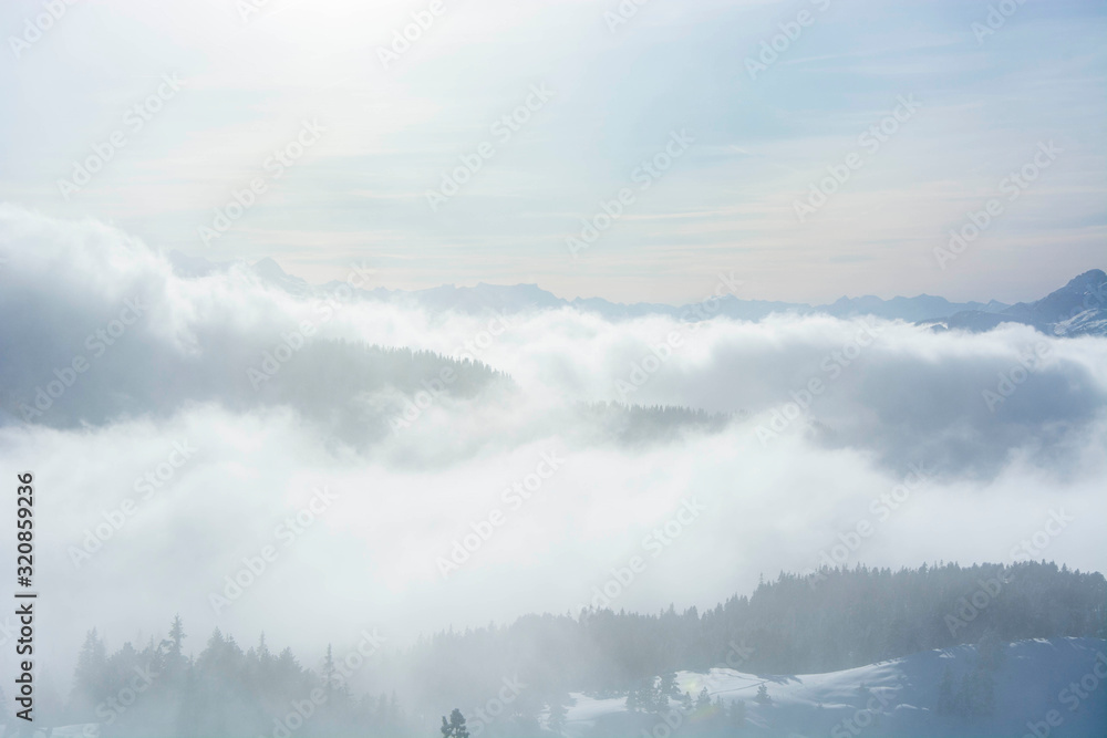 Fototapeta premium foggy mountain layers in winter over the pine forest