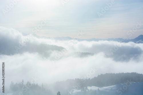 foggy mountain layers in winter over the pine forest