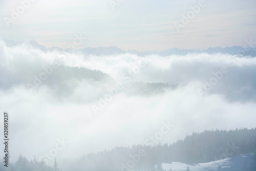 foggy mountain layers in winter over the pine forest © Simon