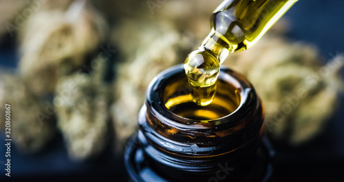 CBD Hemp oil, Hand holding droplet of Cannabis oil against Marijuana buds. Alternative Medicine photo
