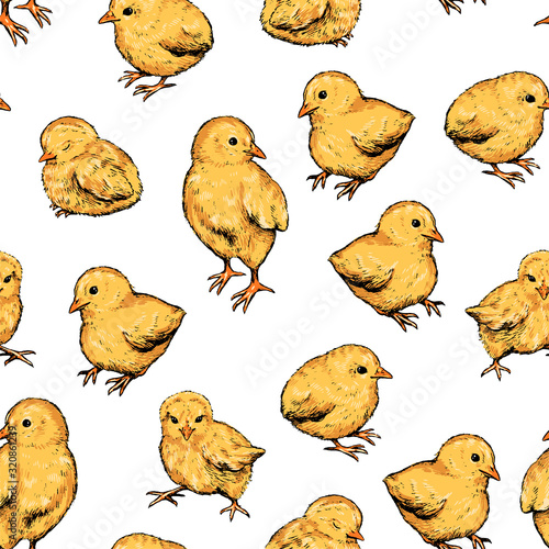 Spring time vector seamless pattern. Cute little chickens hand drawn background isolated. Colored bright wallpaper for Easter design, textile, prints, wrapping, card. Vintage realistic sketch style.