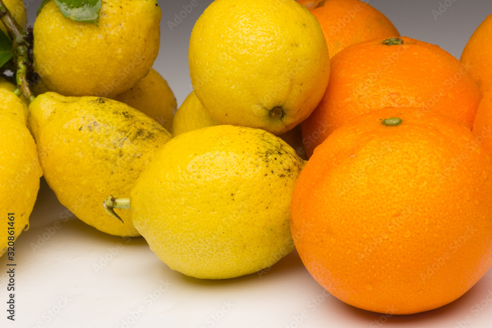 Still life of Lemons and oranges and other vegetables Still life of Lemons and oranges and other vegetables