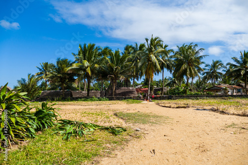 Palm Trees close to a beach and fisher village in Madagascar close to Mananjary