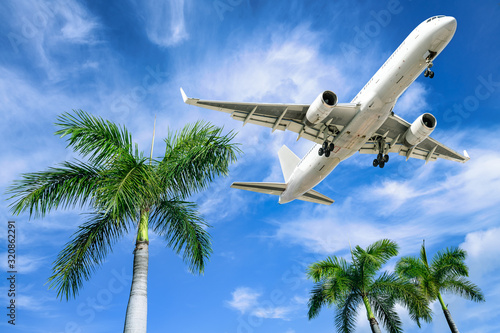 modern airliner arrives over palm trees