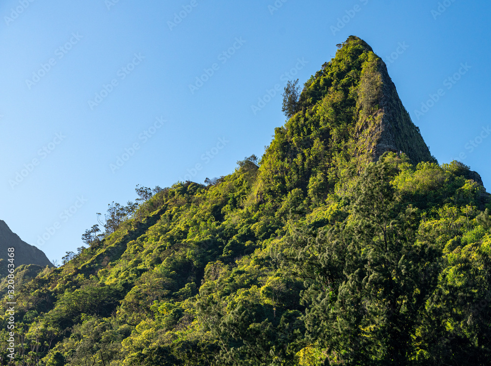 Steep tree covered mountain ridge rises above the Nu'uanu Pali lookout in Oahu Steep tree covered mountain ridge rises above the Nu'uanu Pali lookout in Oahu