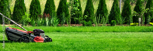 Fotografie Lawn mower cutting green grass in backyard, mowing lawn, green thuja trees on ba